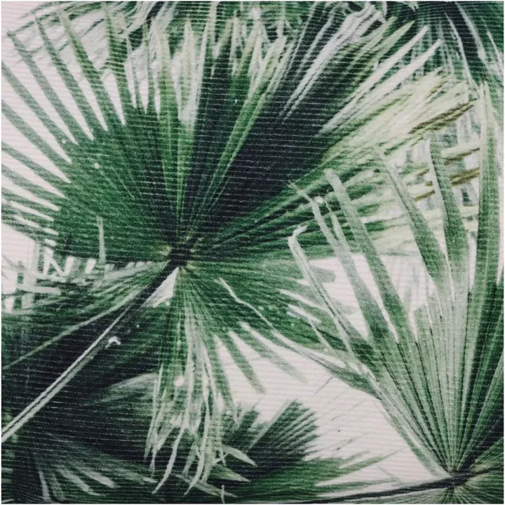 Μαξιλάρι ArteLibre Φύλλα Φοίνικα Πράσινο Βαμβακερό 40x60cm