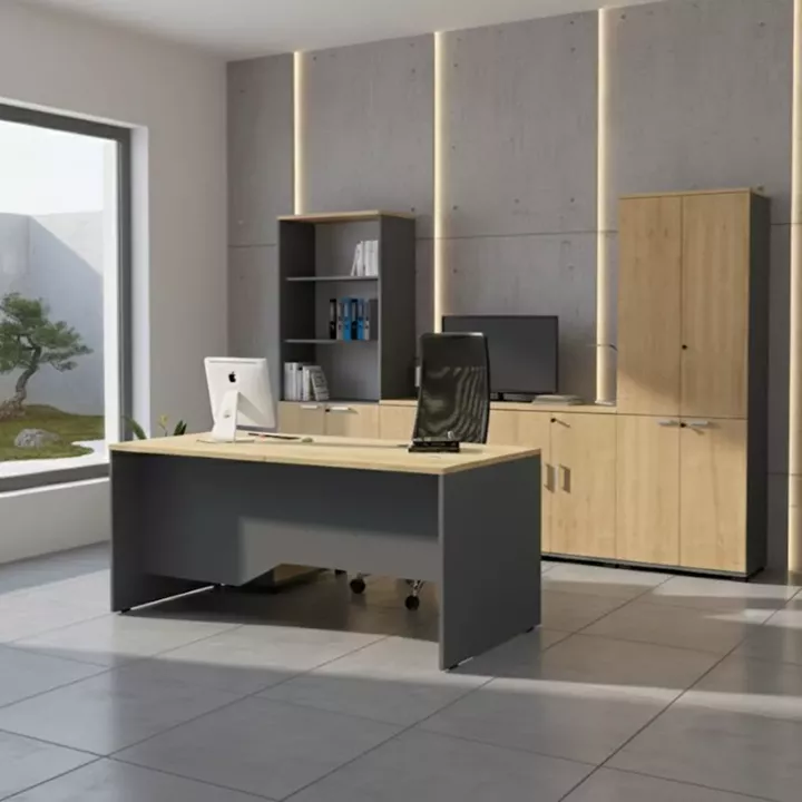 Βιβλιοθήκη γραφείου επαγγελματική Venturo Megapap χρώμα ανθρακί - φυσικό οξιάς 80x40x200εκ.