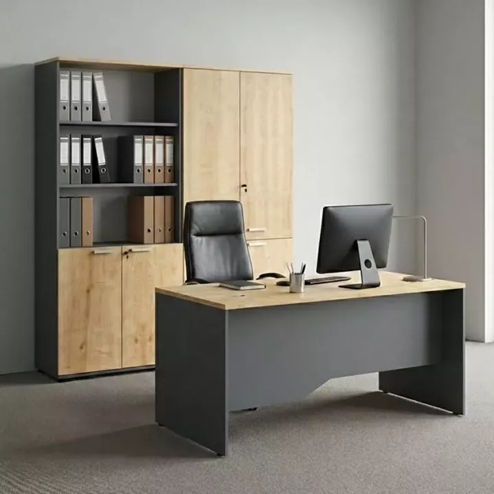 Ντουλάπα γραφείου με κλειδαριά επαγγελματική Venturo Megapap χρώμα ανθρακί - φυσικό οξιάς 160x40x200εκ.