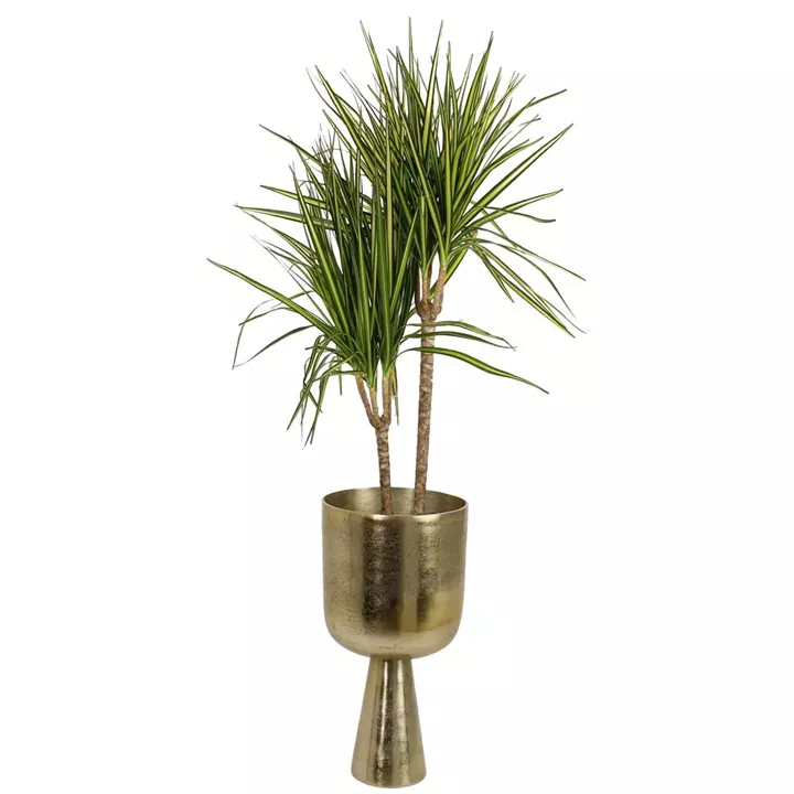 Κασπώ ArteLibre Χρυσό Αλουμίνιο 24x24x34cm