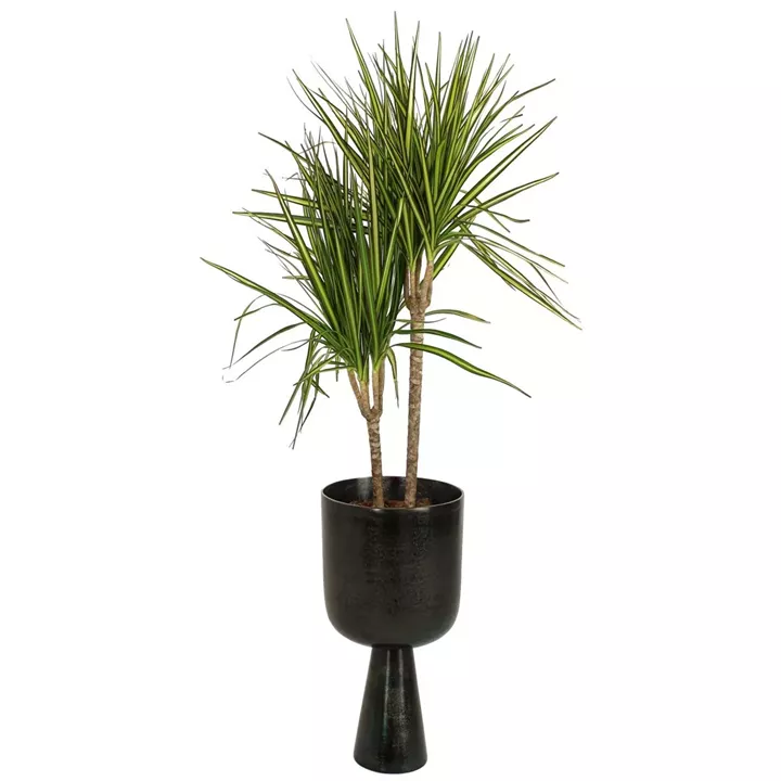 Κασπώ ArteLibre Μαύρο Αλουμίνιο 24x24x34cm